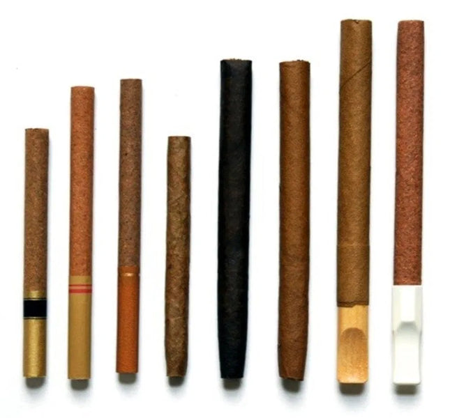 Best Cigars for Beginners